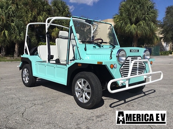 Mint Mokee 4 Passenger Golf Cart affordable golf cart rental, golf cart rental san antonio, san antonio golf cart rental golf cart rental